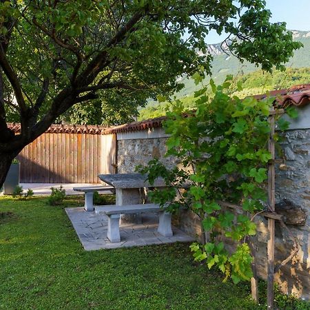 Guest House Zerjal Podnanos Экстерьер фото